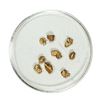 Image 1 : Gold Nuggets 1.77 Grams Total Weight