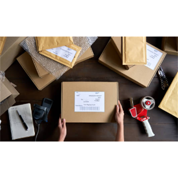 PREVIEW / PICKUP / SHIPPING / PAYMENT