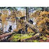 Image 3 : BEARS IN FOREST - VELVET FRINGE WALL TAPESTRY
