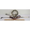 Image 1 : LOT OF 5 - LEATHER BULLWHIP, CROP, & BOLO TIES, ETC