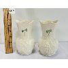 Image 1 : PAIR OF BELLEEK CHINA VASES