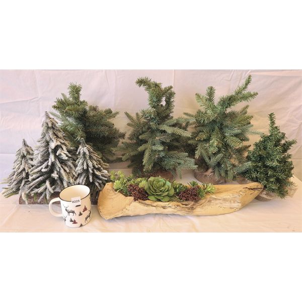LOT OF 7 - EVERGREEN & SUCCULENT DECOR ETC