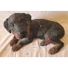 Image 1 : CERAMIC ROTTWEILER PUPPY FIGURINE