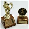 Image 2 : Marty Howe's Youth Hockey League Trophies