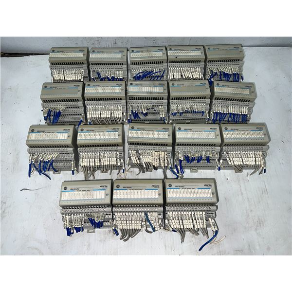 Lot of (18) Allen-Bradley #1794-IV16 Modules