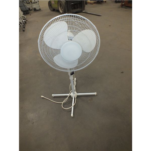 White Fan