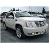 Image 10 : E5 --  2008 CADILLAC ESCALADE LUXURY AWD , White, 228955 KM