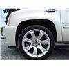 Image 41 : E5 --  2008 CADILLAC ESCALADE LUXURY AWD , White, 228955 KM