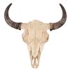 Image 1 : Buffalo Skull and Horns