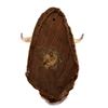 Image 5 : Longhorn Taxidermy Mount