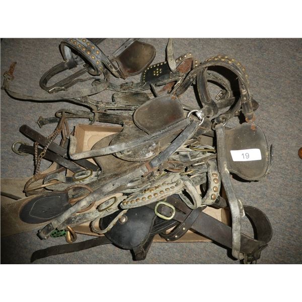 Leather horse tack/ halters/etc