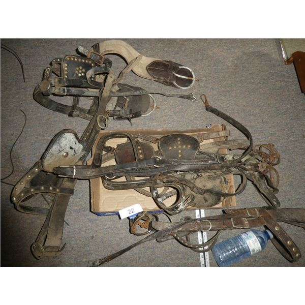 Leather horse tack / halters / etc