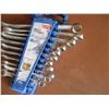 Image 4 : Tall Piece Combination Metric Wrench Set (1 Missing)