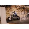 Image 4 : *(30) Harley Davidson Posters