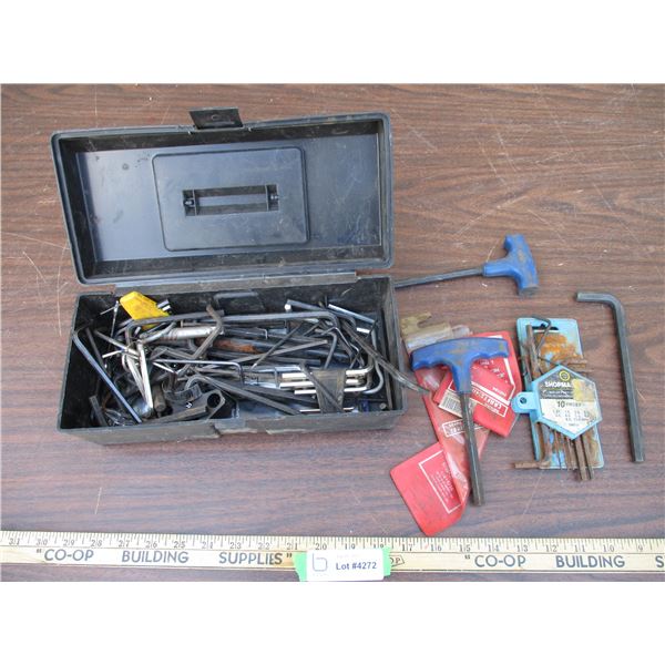 Small Toolbox with Assorted Allen Wrenches