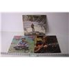 Image 1 : (3) Vintage John Denver Vinyl Records
