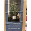 Image 2 : CG Hunter Faux Office Olive Tree Aprox 2'