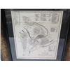 Image 2 : Map of Hawaii (Big Island) US Geological Survey 1893, Framed 15"x18"