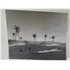 Image 1 : Original Press Photograph 11/7/1966 Golf Course w/ Mauna Kea w/ Sun-Times Stamp 10"x8"