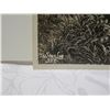 Image 2 : Original Photograph Early 1900's Hamakua Coast Hawaii by Tai Sing Loo 4.5"x6.5"