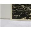 Image 2 : Original Photograph Early 1900's Bird's Eye View of the City of Honolulu by Tai Sing Loo 6.5"x4.5"