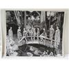 Image 2 : Qty 2 Billy Howell Advertising Photographs International Marketplace & Beachcomber 8"x10"
