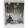 Image 3 : Qty 2 Billy Howell Advertising Photographs International Marketplace & Beachcomber 8"x10"