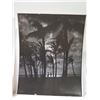Image 2 : Qty 3 Frank Zublick Photographs Waikiki, Waialae Golf Course & Blow Hole 8"x10"