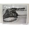 Image 4 : Qty 4 Photographs Coconut Island, Oahu: 2 Press Photos 9"x7" & Earlier 8"x6" & 6.5"x5"