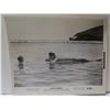 Image 1 : Photograph 1961 of Blue Hawaii Starring Elvis Presley Filmed at Hanauma Bay 10"x8"