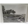 Image 2 : Qty 2 Original Photographs Circa 1940's Doris Duke's Home, Honolulu, T.H. 10"x8"