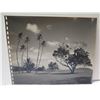 Image 8 : Qty 3 Original Photographs 1945 Views at Waialae Golf Course by Army Signal Corps 8"x10"