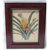Image 1 : Bromelia The Pine-Apple Plant Artwork, Framed 11"x13"