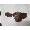 Image 3 : Koa Wood 3D Carvings of the Hawaiian Islands