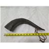 Image 11 : Carved Animal Horn Shaped Décor w/ Strap 14"L