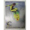 Image 1 : O'Neill Premium Surfboards Booklet w/ Chris Gallagher Photograph Cover