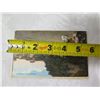 Image 8 : Qty 3 Photographic Images & Postcards: Beaver Falls PA, Waikiki Beach, etc 5"L