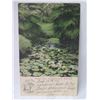 Image 4 : Qty 3 Postcards: Elks Club, Kapiolani Park, Captain Cook's Monument 5"L