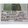 Image 9 : Qty 3 Postcards: Elks Club, Kapiolani Park, Captain Cook's Monument 5"L