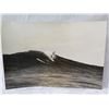 Image 1 : Surfing Spectacular Photograph at Sunset Beach by Camera Press London Photo by Leroy Grannis 10"x7"