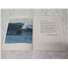Image 3 : Waikiki Surf Club 16th Annual Surfing Championships Makaha Program