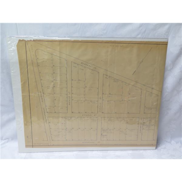 Waimanalo Beach, Oahu 1931 Tax Maps Bureau, Survey Office 28"x22"