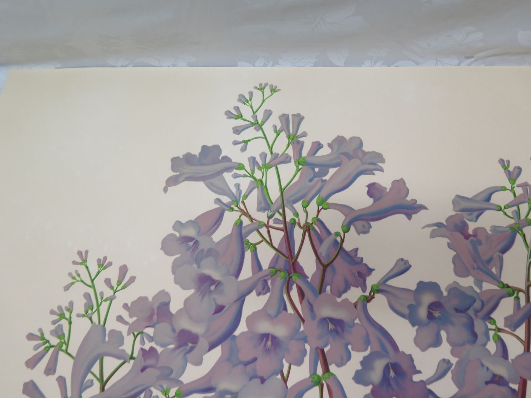 Floral Artwork By L Sexton Unframed 28 x37 Oahu Auctions Floral artwork by l sexton unframed 28 x37 oahu auctions