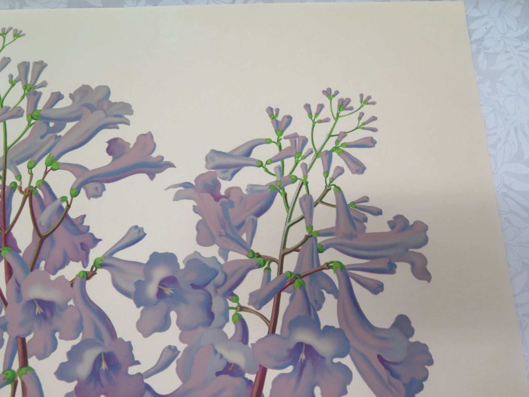 Floral Artwork By L Sexton Unframed 28 x37 Oahu Auctions Floral artwork by l sexton unframed 28 x37 oahu auctions