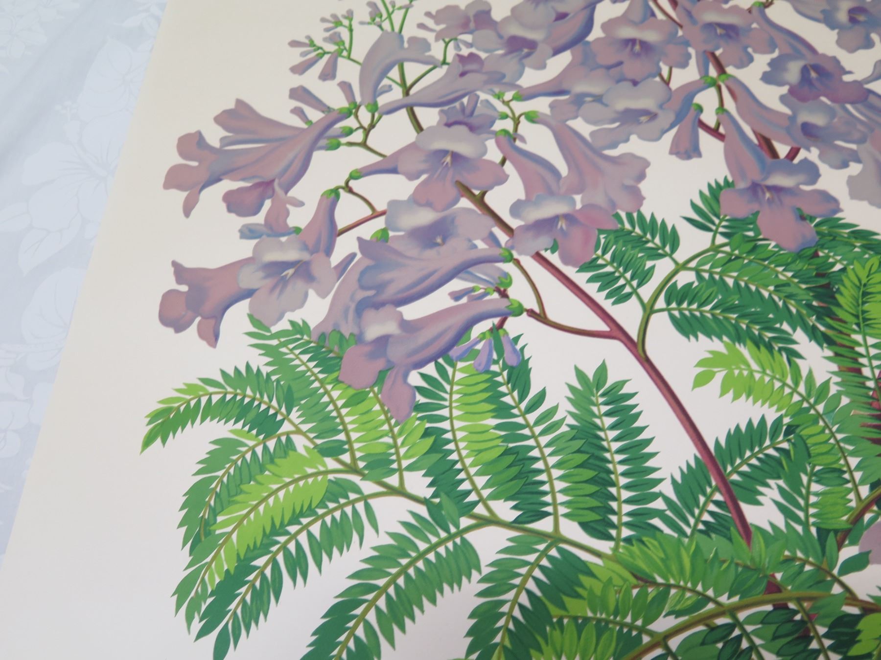 Floral Artwork By L Sexton Unframed 28 x37 Oahu Auctions Floral artwork by l sexton unframed 28 x37 oahu auctions