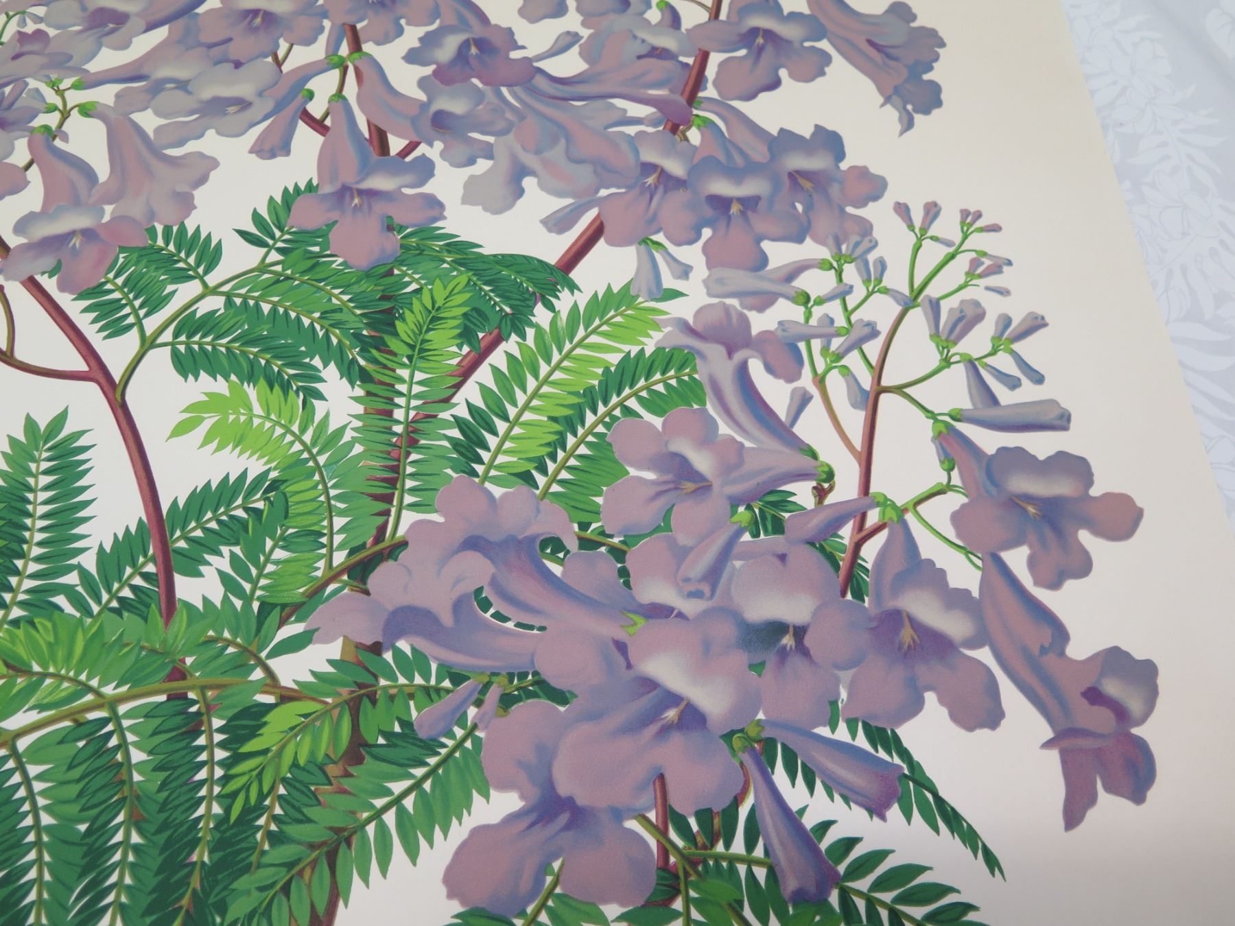 Floral Artwork By L Sexton Unframed 28 x37 Oahu Auctions Floral artwork by l sexton unframed 28 x37 oahu auctions
