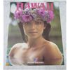 Image 1 : United Airlines Hawaii Promo Poster 18"x23"