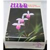 Image 1 : United Airlines Hilo on the Orchid Island of Hawaii Promo 25"x40"