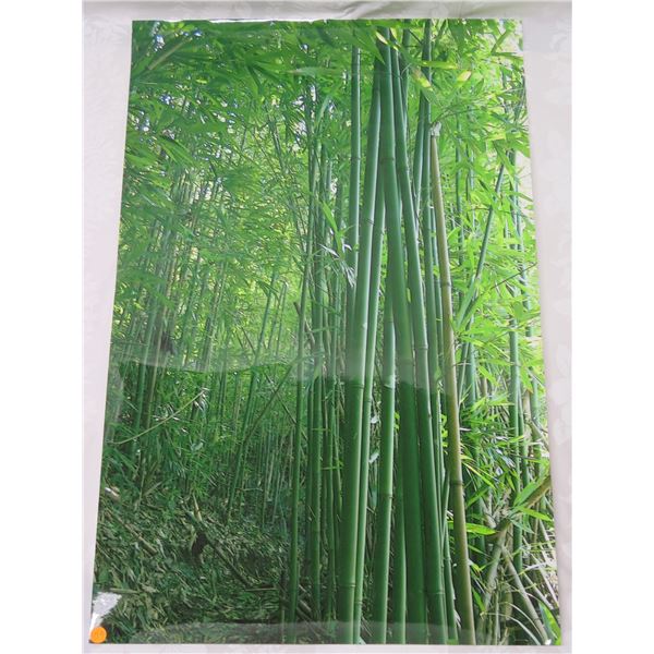 Bamboo Art Poster 22"x34"