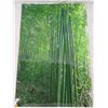 Image 1 : Bamboo Art Poster 22"x34"